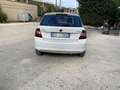 Skoda Fabia 1.4 tdi Executive 75cv - thumbnail 5
