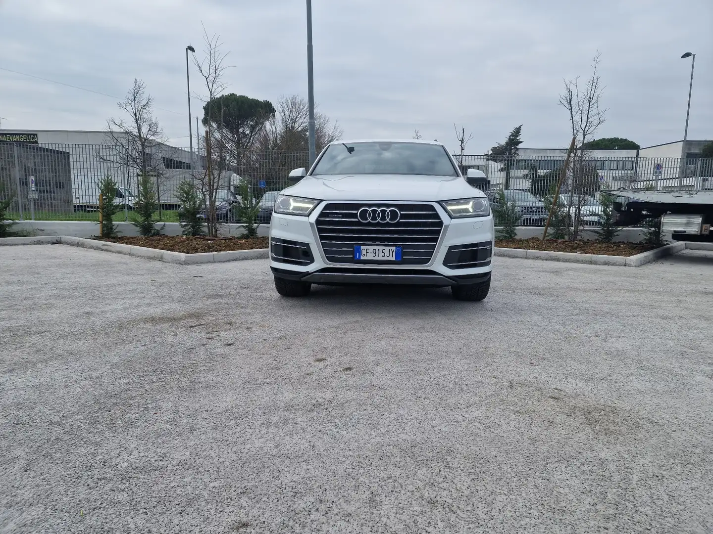 Audi Q7 3.0 tdi Business Plus quattro 7p.ti tiptronic - 2