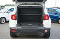 Jeep Renegade 1.3l T-GDI I4 Limited DCT Weiß - thumbnail 12