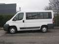 Fiat Ducato 2.3 Mjt 130Cv Euro5 Panorama 9 Posti Bianco - thumbnail 5