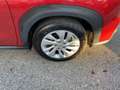 Suzuki S-Cross 1.4 Comfort AllGrip Top gebrauchter SUV Rot - thumbnail 6
