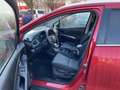 Suzuki S-Cross 1.4 Comfort AllGrip Top gebrauchter SUV Rot - thumbnail 8