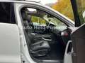 Jaguar F-Pace R-Sport AWD Aut Virtual Navi Kam Pano Blanc - thumbnail 12