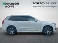 Volvo XC90 B5 D AWD Ultimate Bright Autom./iACC Weiß - thumbnail 4