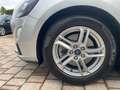 Ford Focus Focus SW 1.5 ecoblue Business s Grigio - thumbnail 5