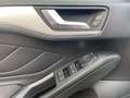 Ford Focus Focus SW 1.5 ecoblue Business s Grigio - thumbnail 10