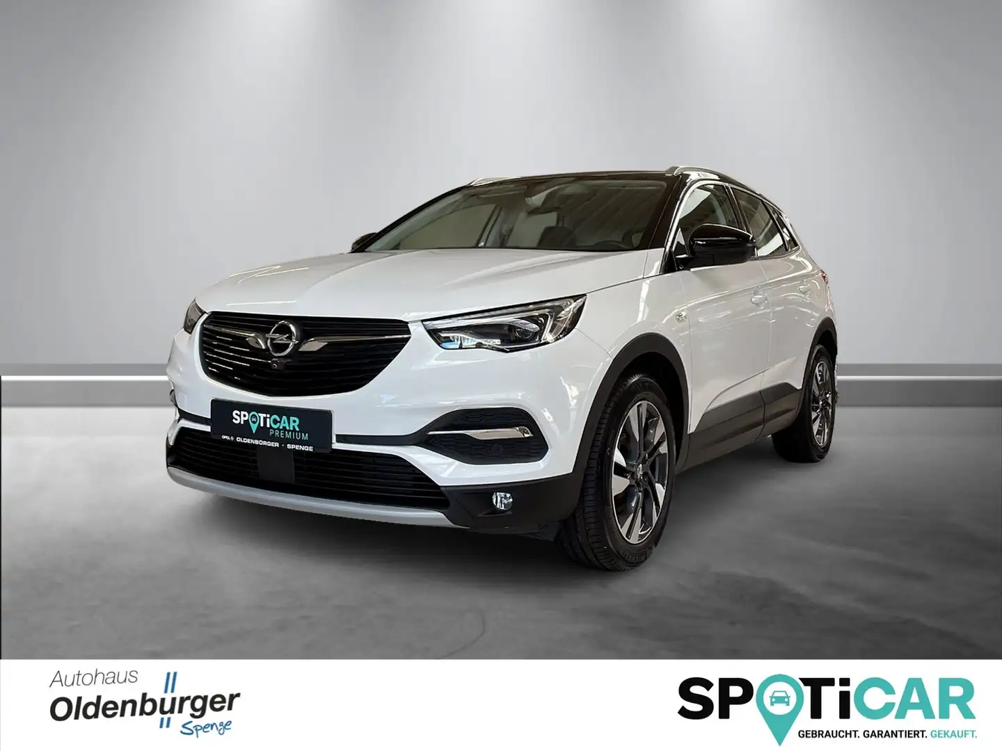 Opel Grandland Business Innovation, Kamera, elektr. Heckklappe Blanco - 1