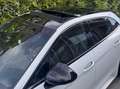 Porsche Panamera Panamera 4 e-Hybrid Sport Turismo FULL OPTION Blanco - thumbnail 13