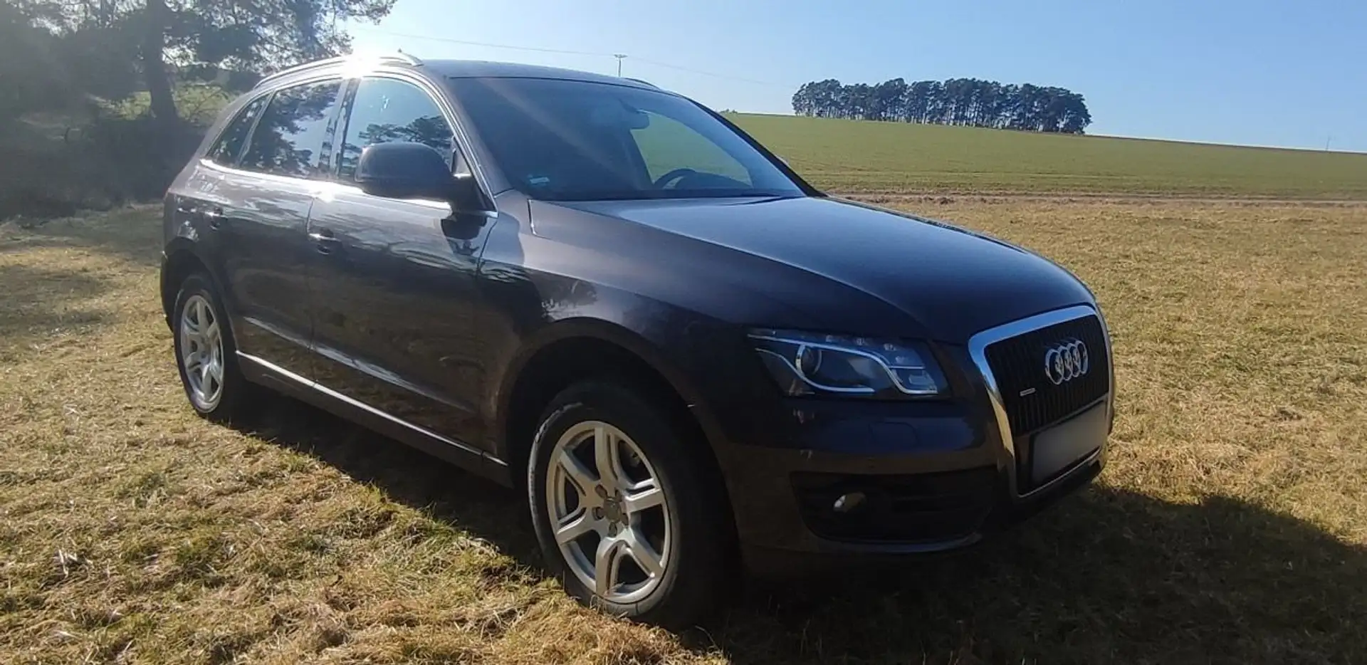 Audi Q5 Q5 3.0 TDI quattro S tronic Violet - 1