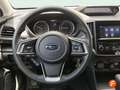 Subaru XV 1.6i Executive Auto Blanco - thumbnail 15