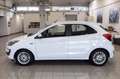 Ford Ka/Ka+ Ka + 1.5 ecoblue(tdci) Ultimate s&s 95cv Blanc - thumbnail 3