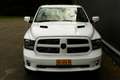 Dodge RAM 1500 Sport 5.7 V8 LPG 4x4 Blanco - thumbnail 10