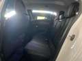 Peugeot 308 BlueHDi 130 S&S EAT8 Allure Pack Bianco - thumbnail 12