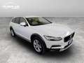 Volvo V90 Cross Country 2.0 D4 awd geartronic my19 Bianco - thumbnail 3