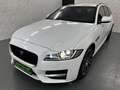 Jaguar XF R-Sport+Bi-Xenon+Ambiente+Kamera+LED+Sound Weiß - thumbnail 1