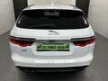 Jaguar XF R-Sport+Bi-Xenon+Ambiente+Kamera+LED+Sound Weiß - thumbnail 5