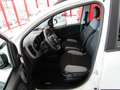 Fiat Panda 1.0 FireFly S&S Hybrid Red Bianco - thumbnail 8