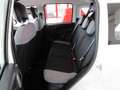 Fiat Panda 1.0 FireFly S&S Hybrid Red Bianco - thumbnail 9