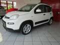 Fiat Panda 1.0 FireFly S&S Hybrid Red Bianco - thumbnail 1