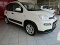 Fiat Panda 1.0 FireFly S&S Hybrid Red Bianco - thumbnail 2