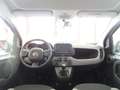 Fiat Panda 1.0 FireFly S&S Hybrid Red Bianco - thumbnail 7