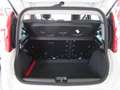 Fiat Panda 1.0 FireFly S&S Hybrid Red Bianco - thumbnail 10