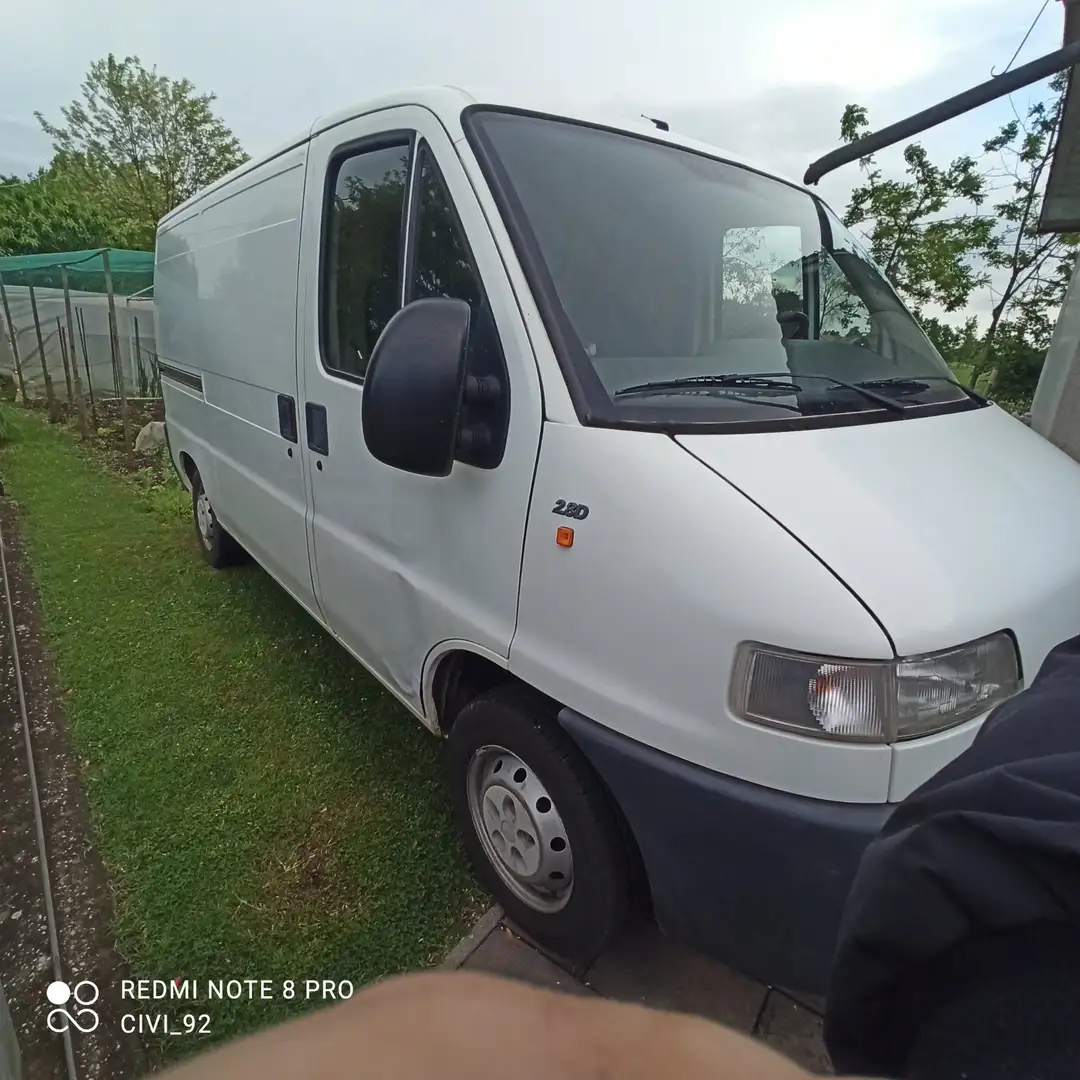 Fiat Ducato Blanco - 2