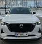 Mazda CX-60 CX-60 3.3L e-SKYACTIV D AWD HOMURA Aut. SUV Weiß - thumbnail 5