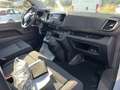 Peugeot Expert 2.0 BLUEHDI 140 PREMIUM STD AUTOMATICO Bianco - thumbnail 13