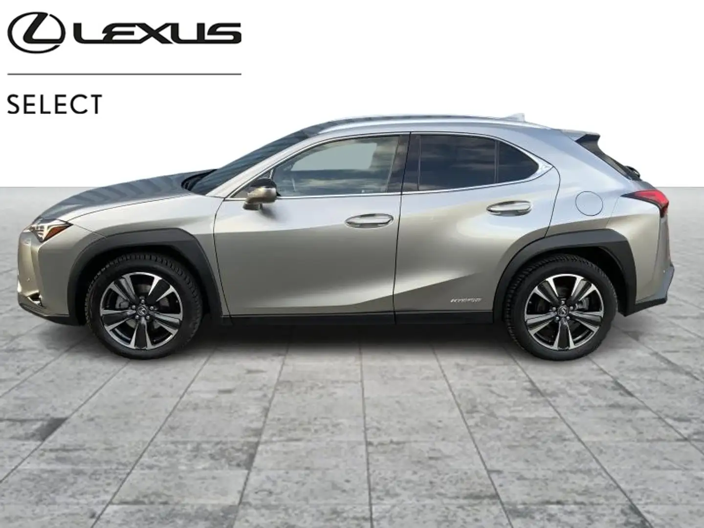 Lexus UX 250h Executive Line + navi + sensor Szürke - 1
