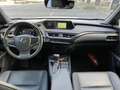 Lexus UX 250h Executive Line + navi + sensor Gris - thumbnail 21