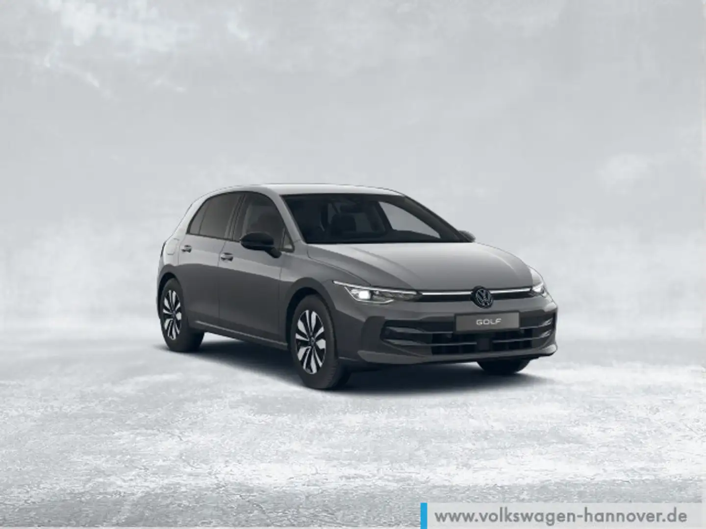 Volkswagen Golf VIII 2.0 TDI DSG GOAL AHK Kamera ACC DigCoc Grau - 2