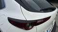 Mazda CX-30 2025 2.5 e-SKYACTIV G MHEV 140CV 6MT FWD PRIME LIN Blanco - thumbnail 19