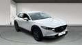 Mazda CX-30 2025 2.5 e-SKYACTIV G MHEV 140CV 6MT FWD PRIME LIN Blanco - thumbnail 3