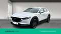 Mazda CX-30 2025 2.5 e-SKYACTIV G MHEV 140CV 6MT FWD PRIME LIN Blanco - thumbnail 1