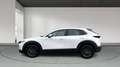 Mazda CX-30 2025 2.5 e-SKYACTIV G MHEV 140CV 6MT FWD PRIME LIN Blanco - thumbnail 7