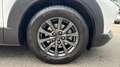 Mazda CX-30 2025 2.5 e-SKYACTIV G MHEV 140CV 6MT FWD PRIME LIN Blanco - thumbnail 10