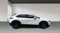 Mazda CX-30 2025 2.5 e-SKYACTIV G MHEV 140CV 6MT FWD PRIME LIN Blanco - thumbnail 6