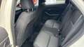 Mazda CX-30 2025 2.5 e-SKYACTIV G MHEV 140CV 6MT FWD PRIME LIN Blanco - thumbnail 13
