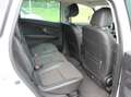 Renault Scenic Grand BOSE Edition Weiß - thumbnail 10