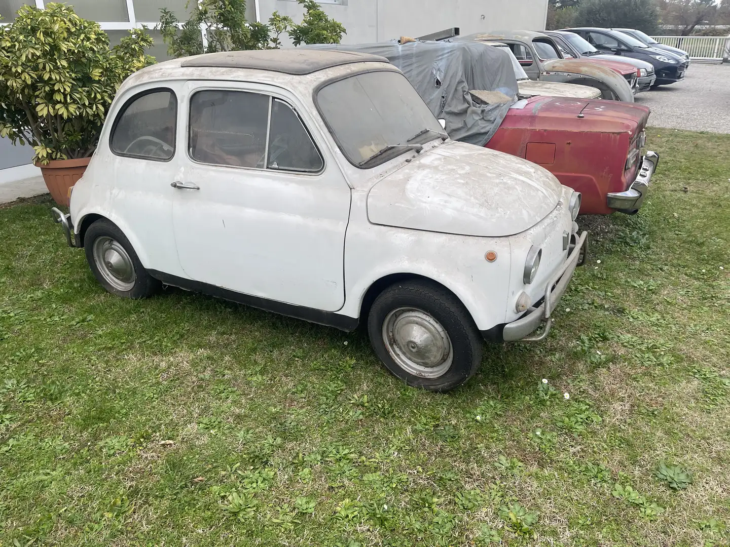 Fiat 500 F (esterni versione L) Bianco - 2