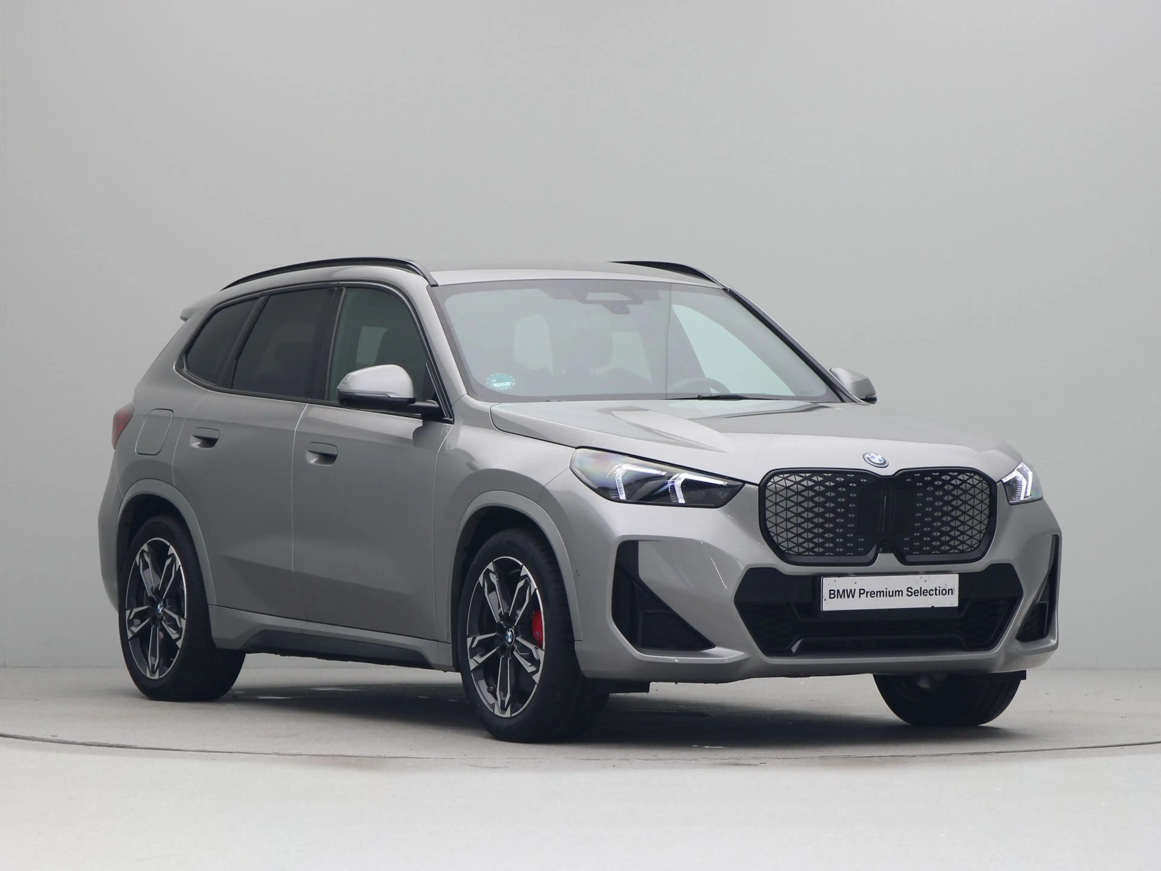 BMW iX1 xDrive30 67 kWh — photo 6
