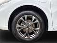 Ford Kuga 2.5 Duratec PHEV ST-LINE Blanc - thumbnail 7