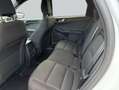 Ford Kuga 2.5 Duratec PHEV ST-LINE Blanc - thumbnail 10
