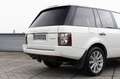 Land Rover Range Rover 5.0 V8 Supercharged L322 | 109.000KM | Sunroof | H Weiß - thumbnail 20