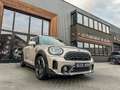MINI Cooper SE Countryman Mini 2.0 ALL4 Business Edition 220pk Rooftopgrey/C Grijs - thumbnail 25