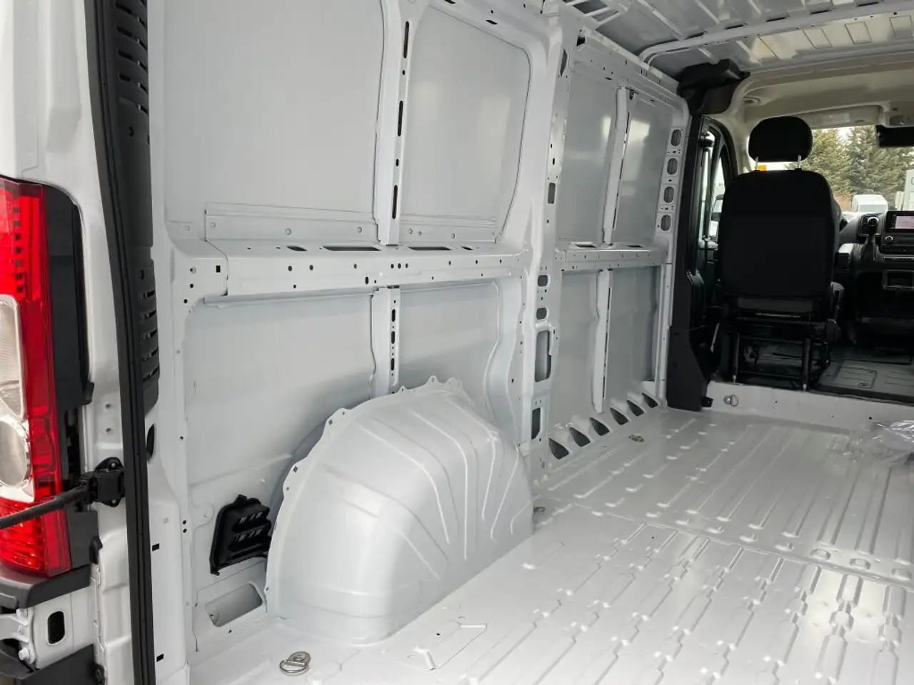 RAM Promaster снимка RAM Promaster