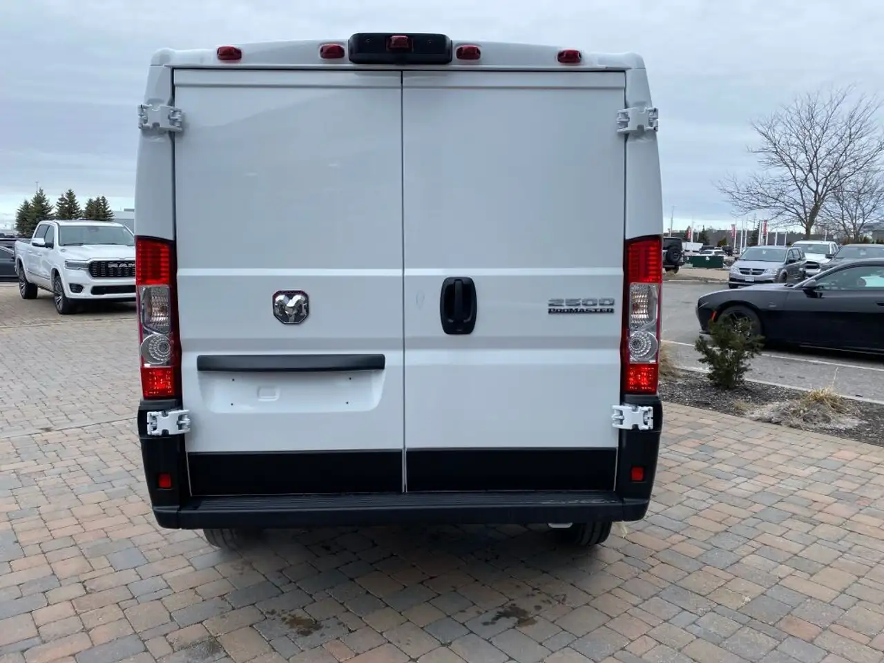 RAM Promaster снимка RAM Promaster