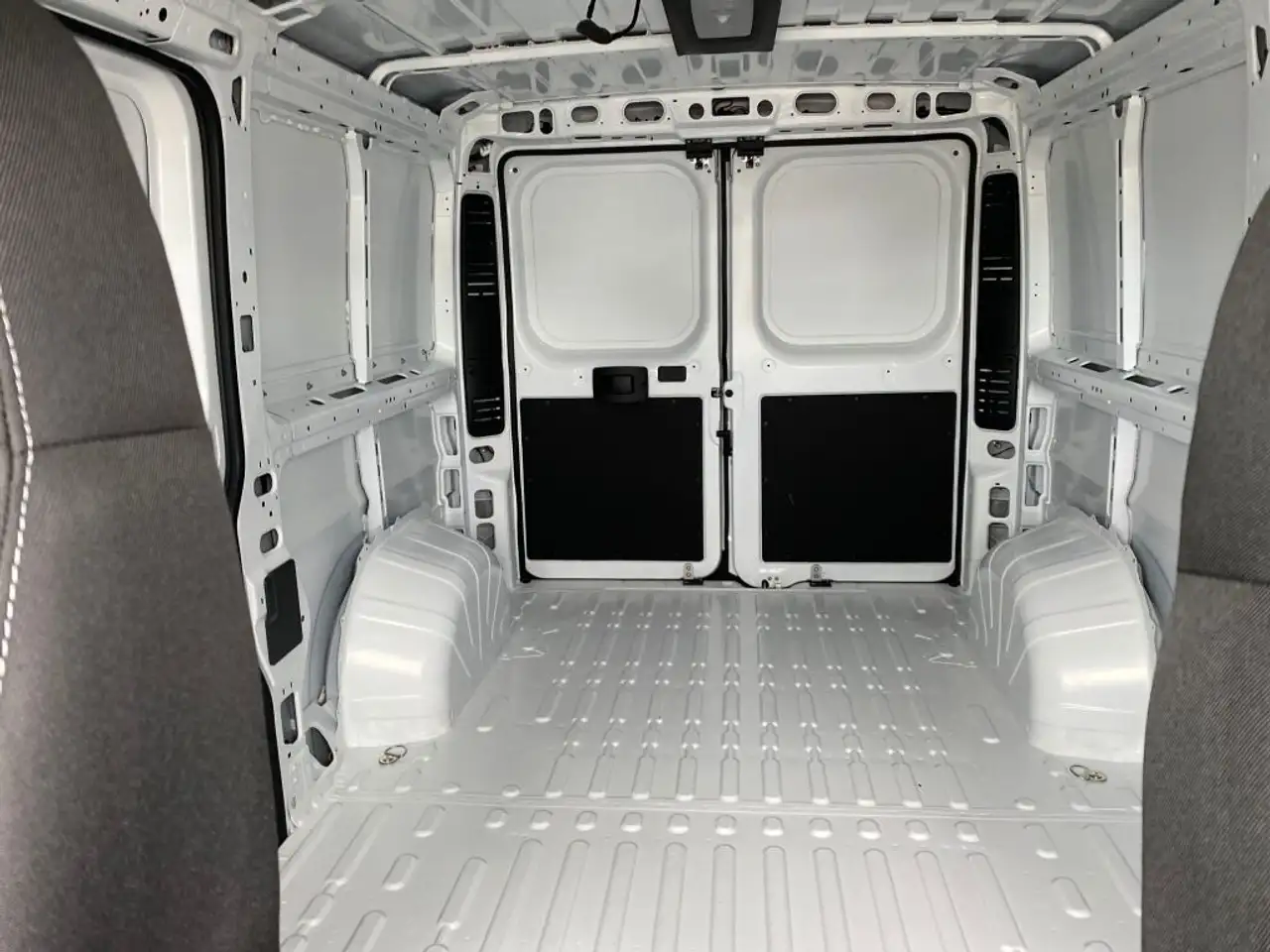 RAM Promaster снимка RAM Promaster