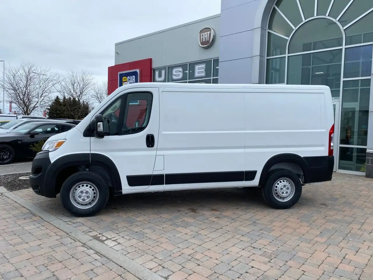 RAM Promaster снимка RAM Promaster